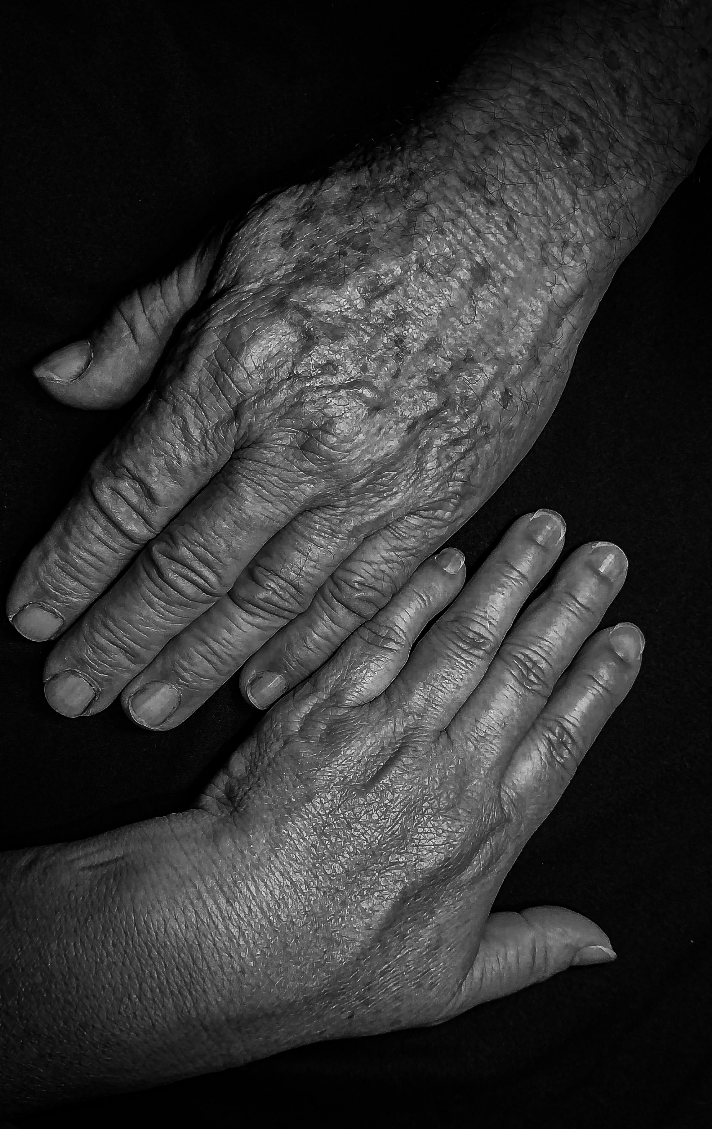 Pair of older hands at rest in soft natural light.