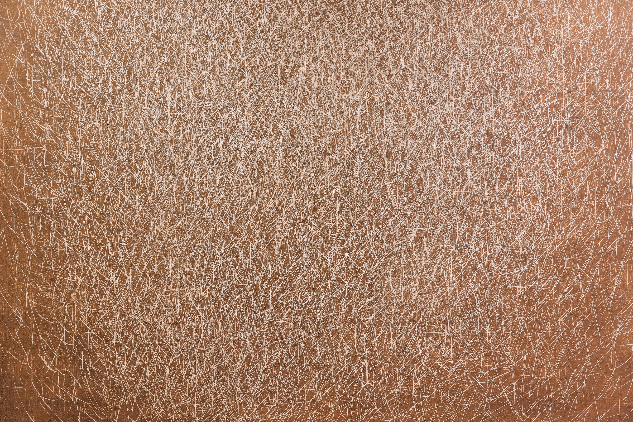 Close-up of weathered skin in soft natural light.